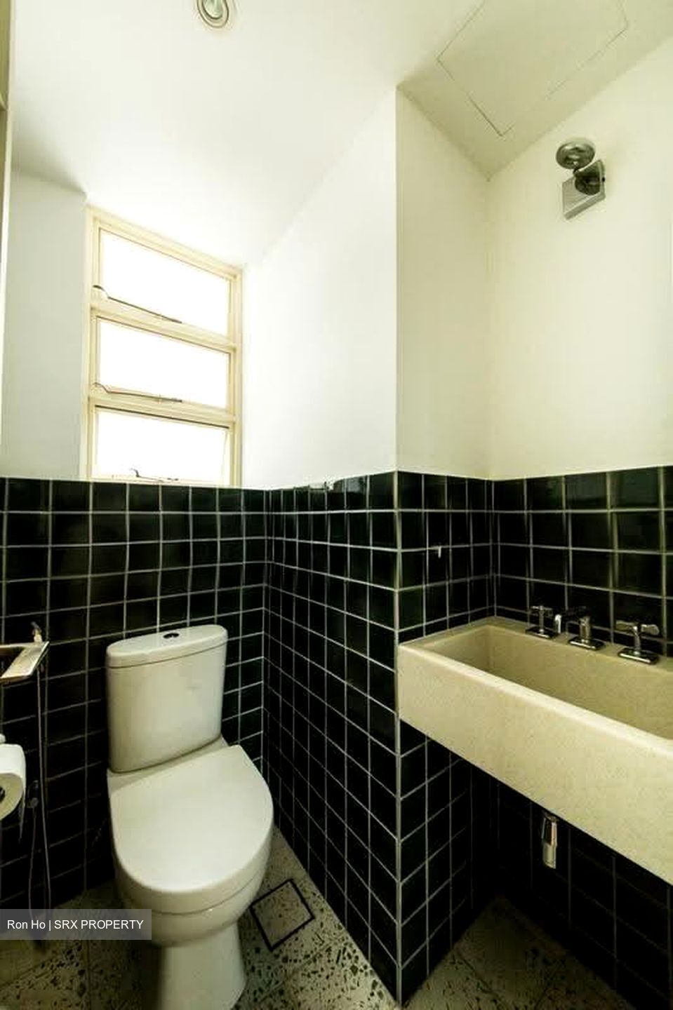 Botanic Gardens View (D10), Apartment #627455511